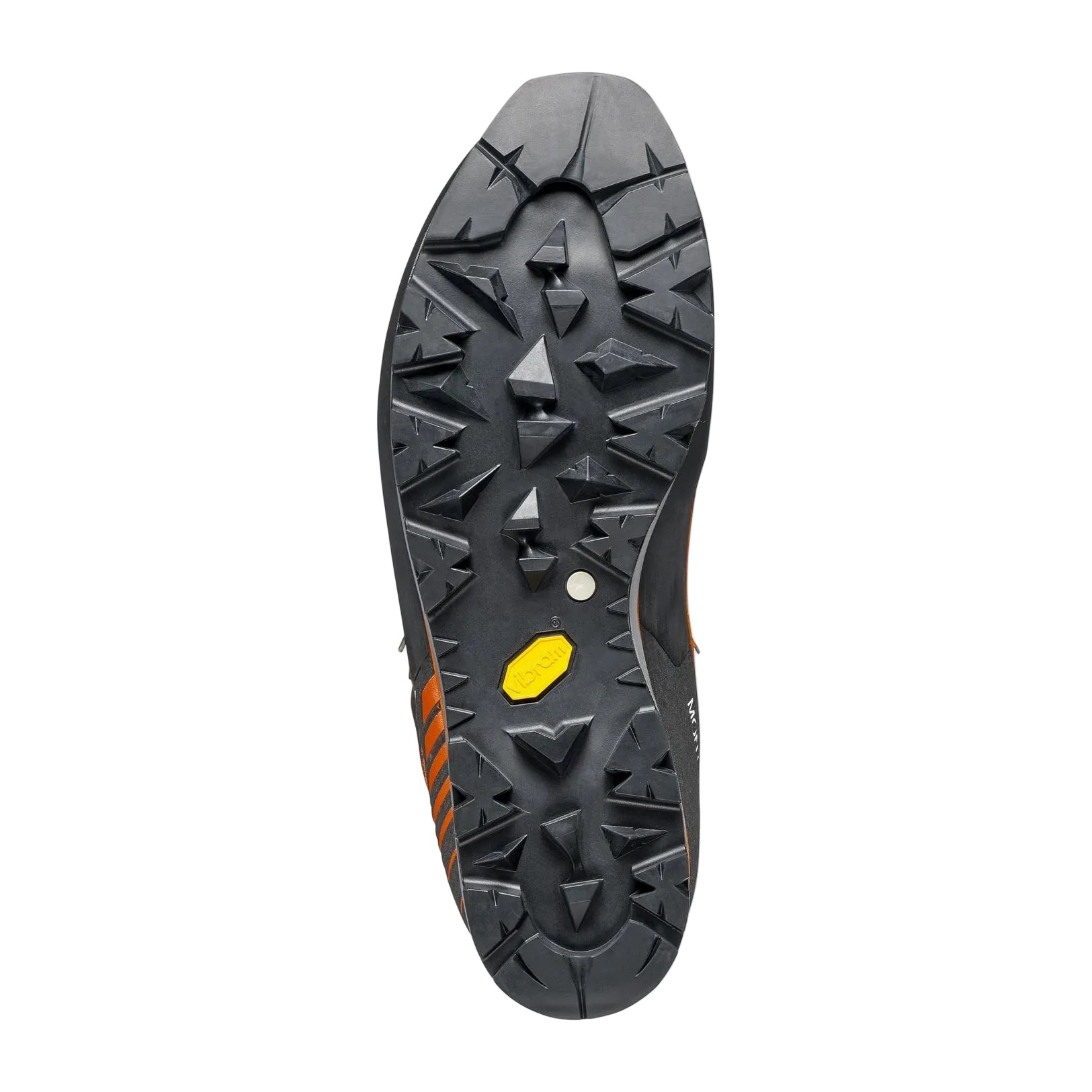 Mont Blanc Pro GTX