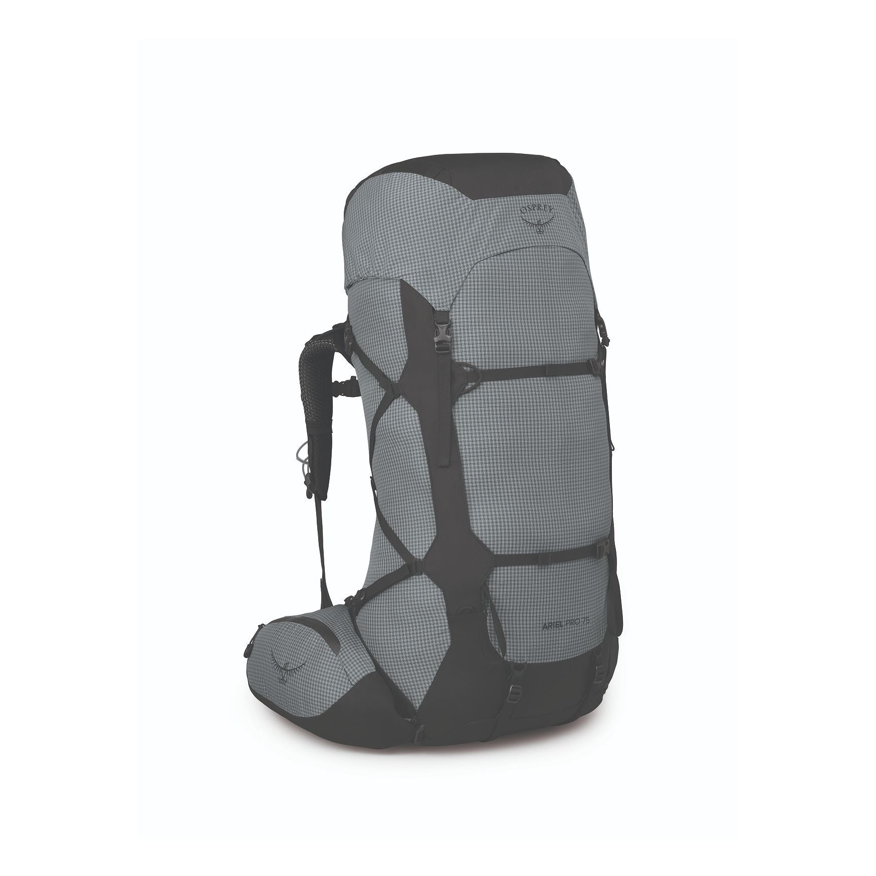 Osprey Ariel Pro 75 Women's Backpack Silver Lining / XS/S Osprey Ariel Pro 75 Women's Backpack Silver Lining / XS/S
