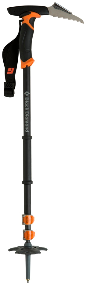 Carbon Whippet Ski Pole