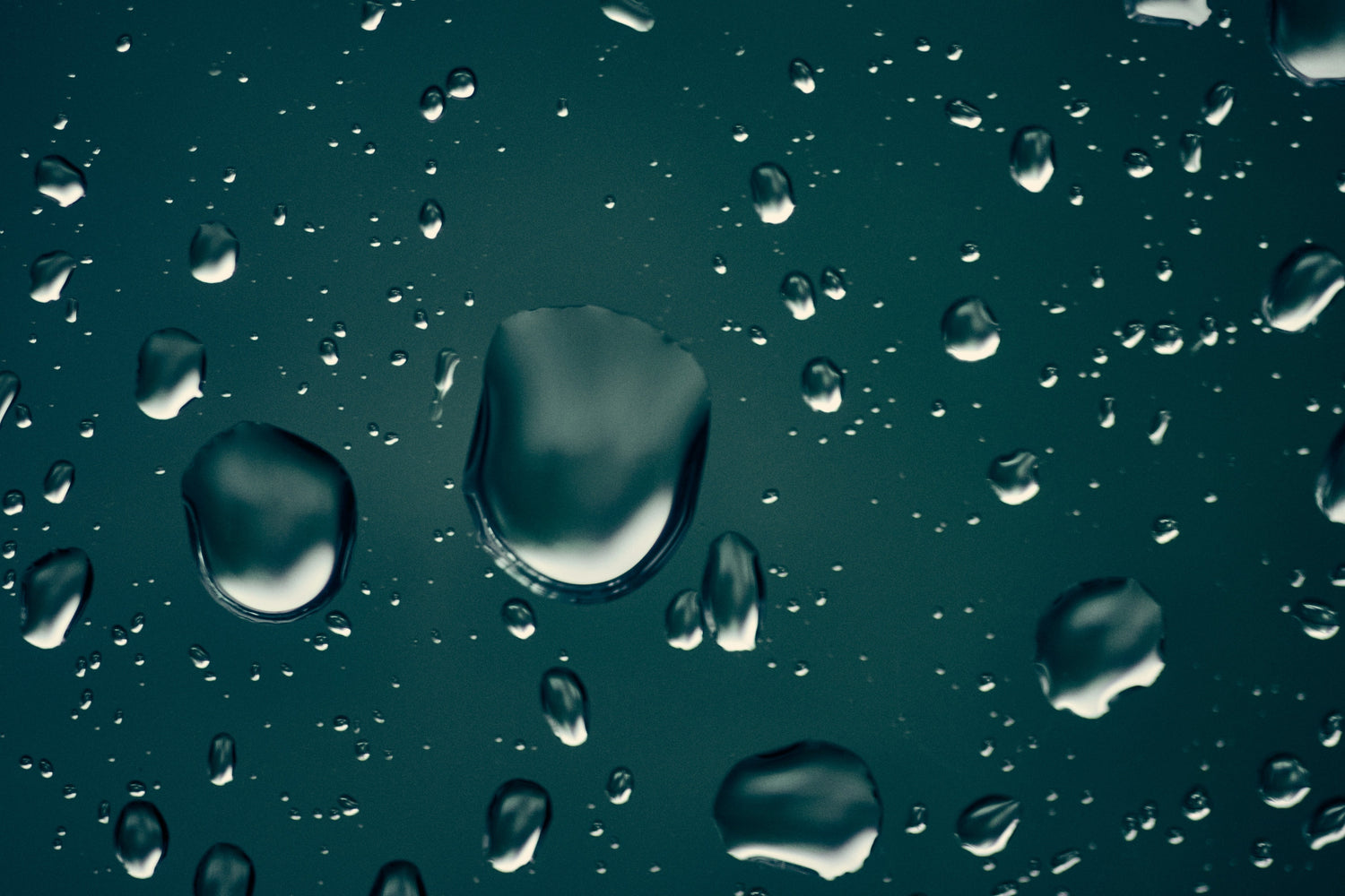 Climbing Away from PFAS