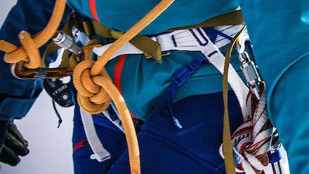 Choucas Harness