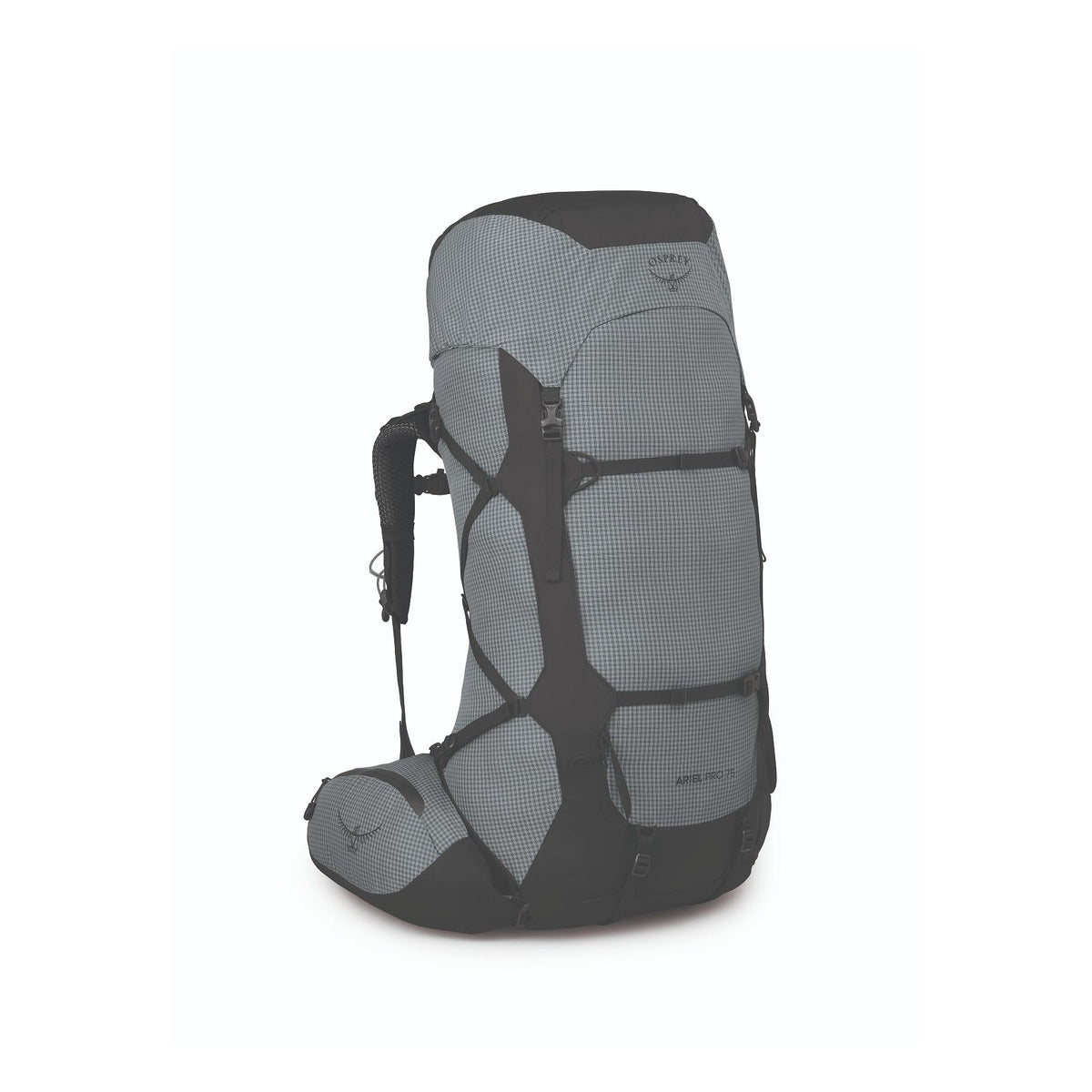 Osprey Ariel Pro 75 Women's Backpack Silver Lining / XS/S